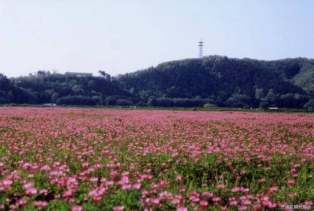 虎御前山