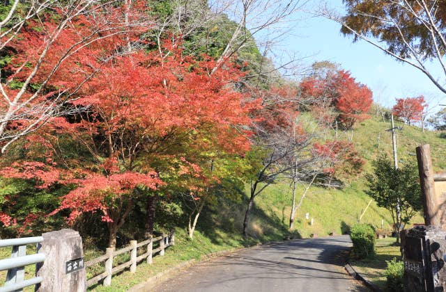 岩倉峡公園キャンプ場