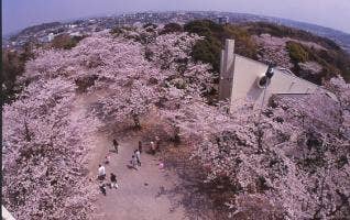 太田山公園