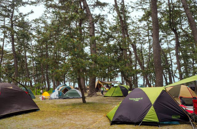 園家山キャンプ場