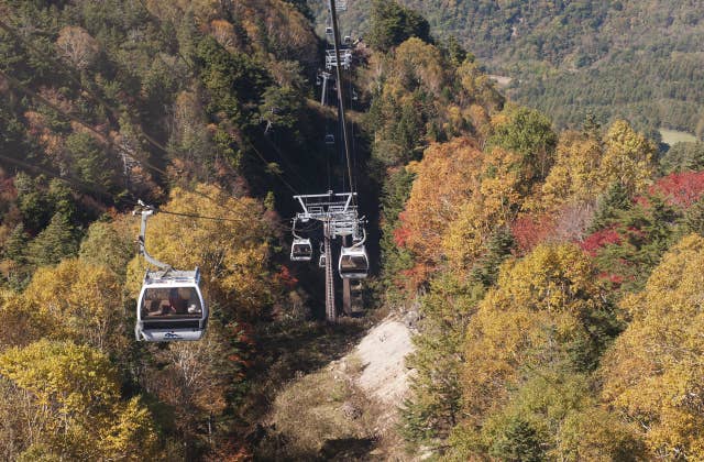 丸沼高原ロープウェイと紅葉