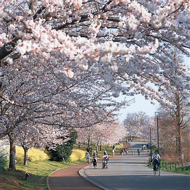 青葉の森公園