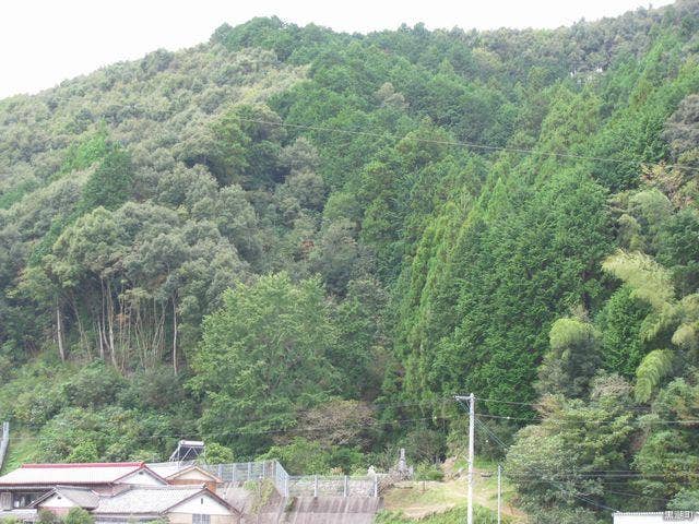 宝積山普門院随正寺跡