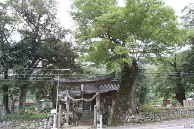 広瀬神社