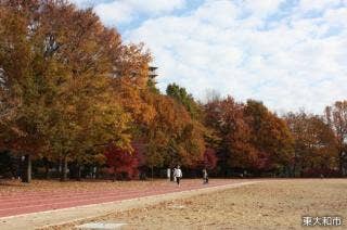 秋の都立東大和南公園