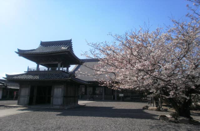 養寿寺