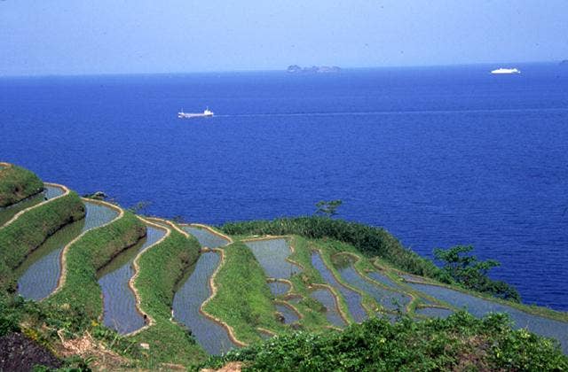 新井の千枚田