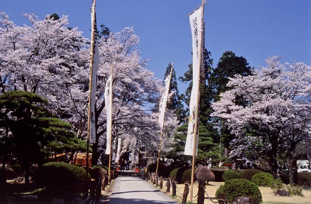 恵林寺境内の桜