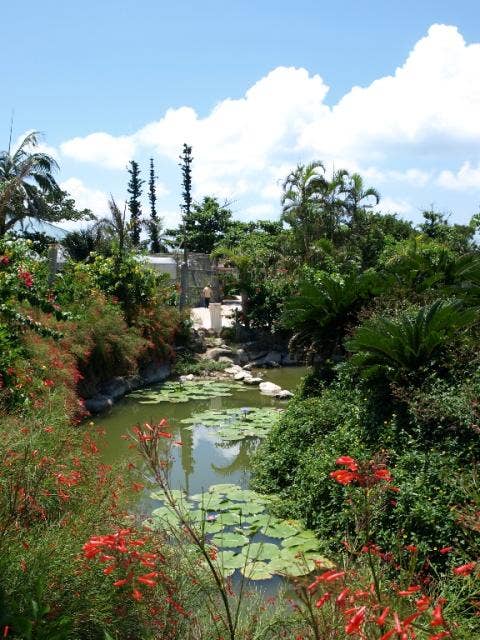 由布島亜熱帯植物楽園