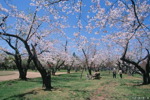 館山近隣公園