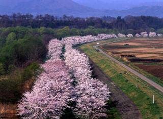 雫石川園地