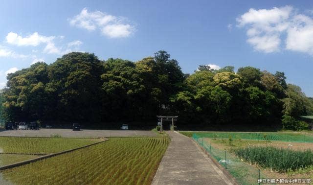 大宮神社の社叢