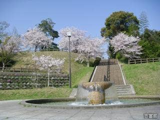 天仲寺公園