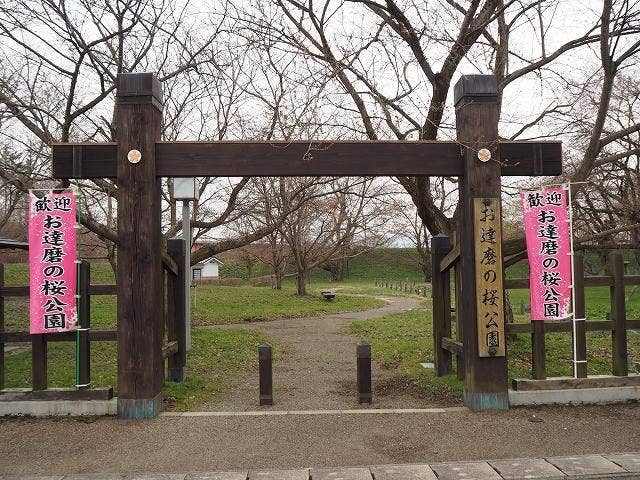 お達磨の桜公園