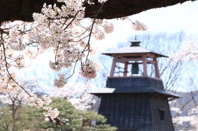 沼田公園の桜鐘楼