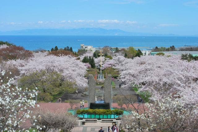 春のオニウシ公園