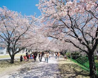 鏡野公園