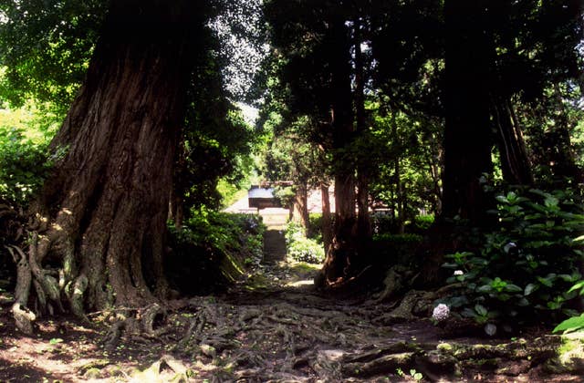 向川寺