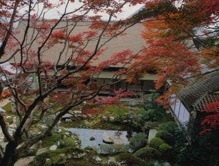 西教寺庭園と紅葉