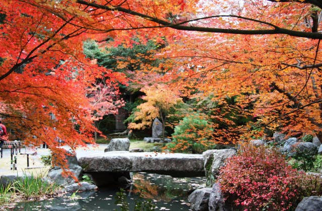 長岡天満宮境内の紅葉