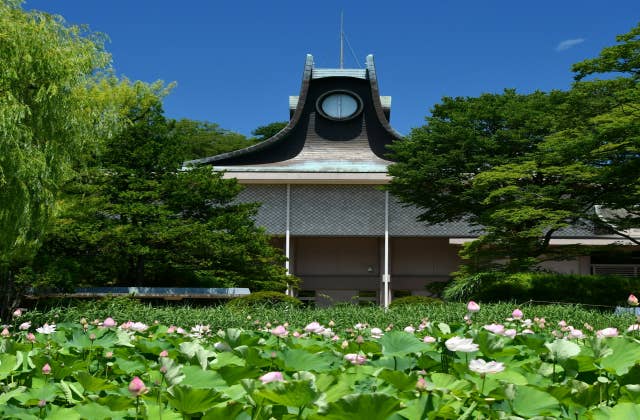 秋田市文化創造館