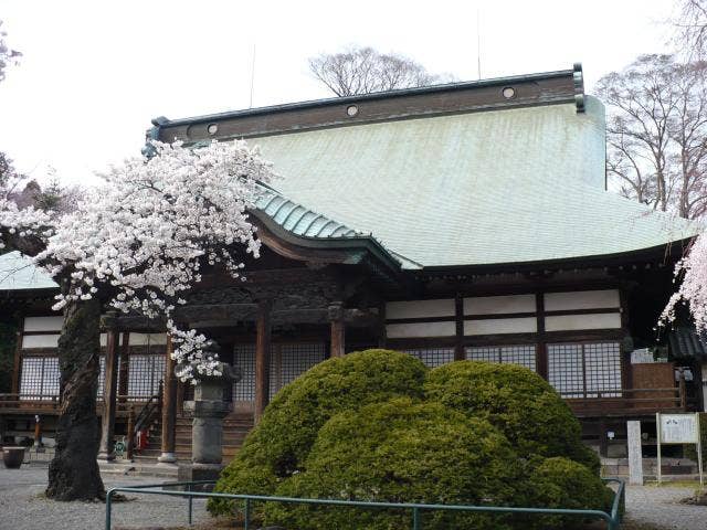 真光寺（あじさい寺）