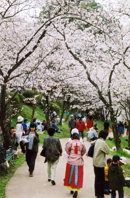 田代公園