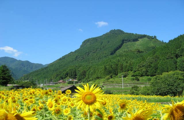 求菩堤山