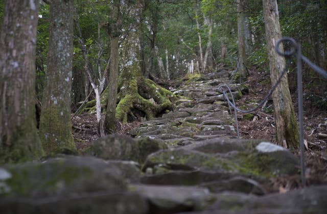 逸話のある求菩提山鬼の石段