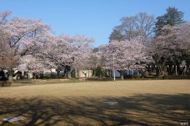 城跡歴史公園