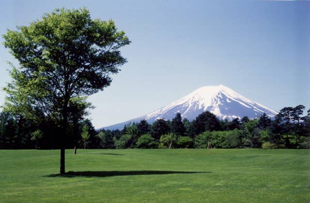 諏訪の森自然公園