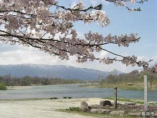 最上川発祥の地　春