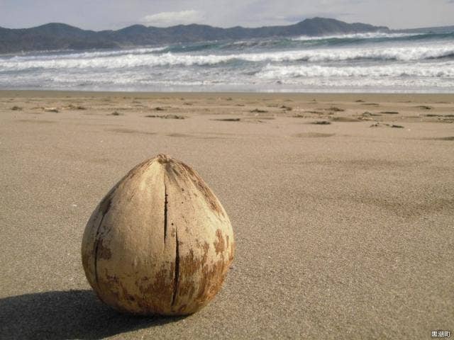 砂浜美術館