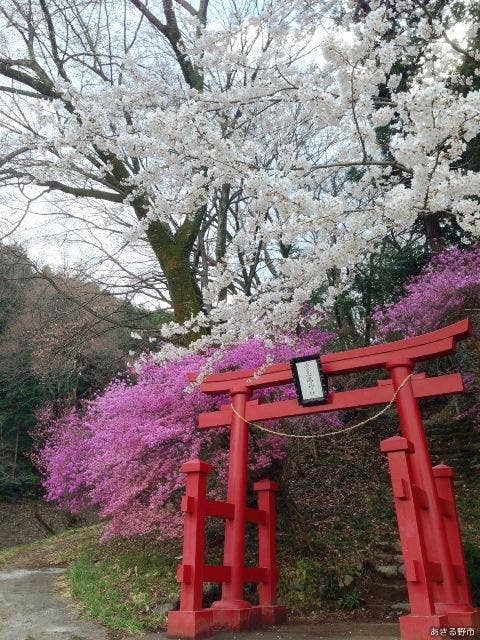 弁天山