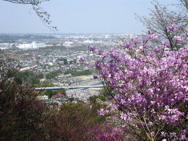 弁天山