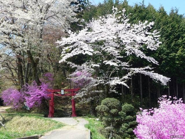 弁天山（東京都あきる野市） / 東京都 -【JAPAN 47 GO】