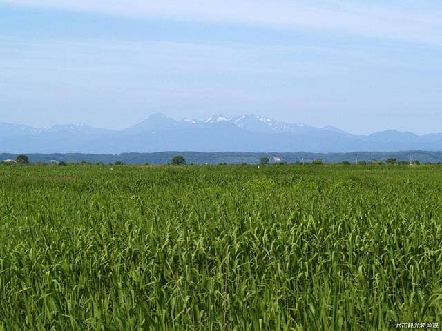 仏沼