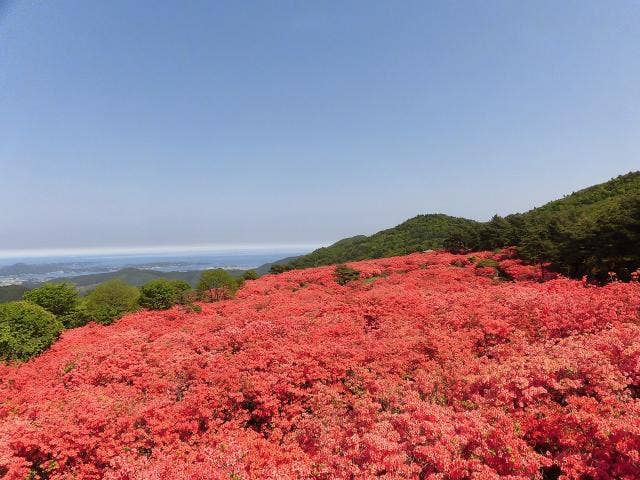 徳仙丈つつじが原