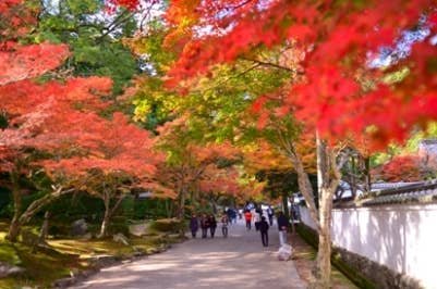 紅葉谷公園2