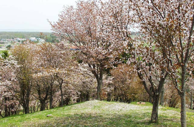 御園山公園