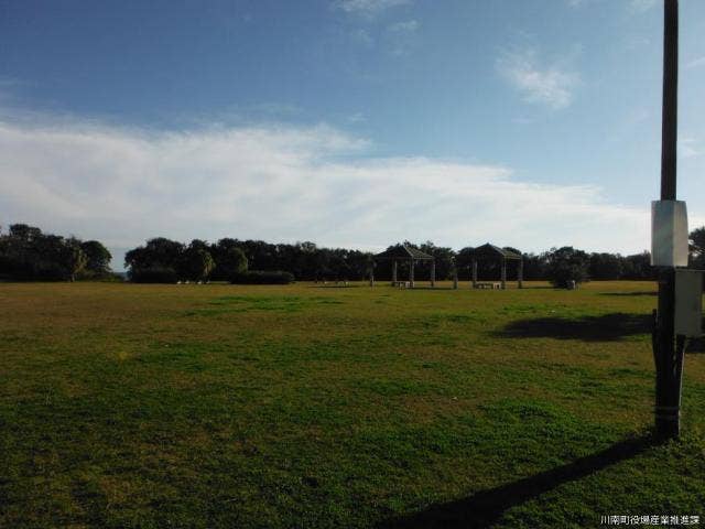 通浜海浜公園