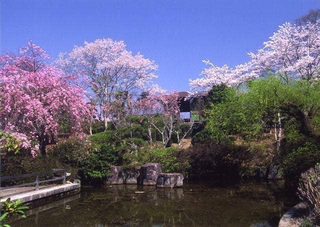 童子山公園