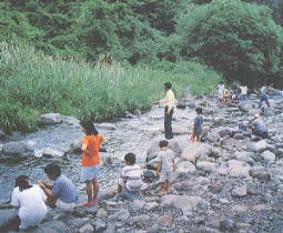 川俣川渓流つり場