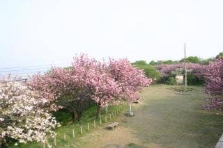 諸上寺公園2