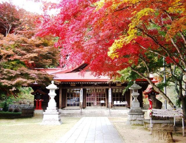 霊山神社　秋