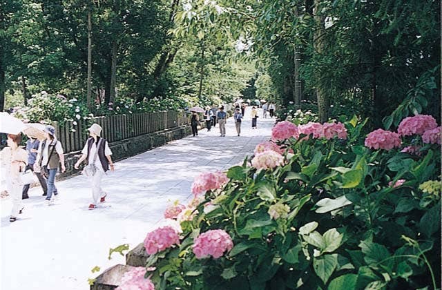 若宮八幡神社