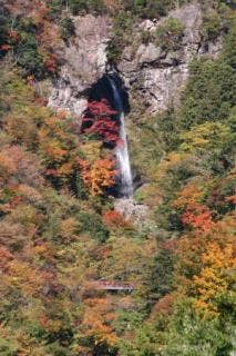 大荒の滝（遠景）