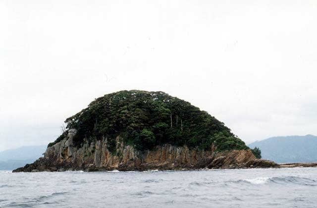 津島の暖地性植物群落