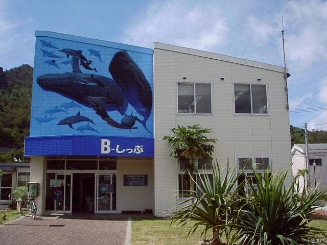 B-しっぷ（商工観光会館）