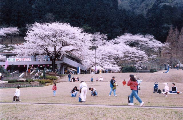 神奈川県立津久井湖城山公園・水の苑地・花の苑地